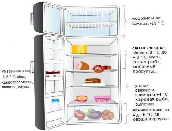Strefy temperaturowe lodówki jednokomorowej