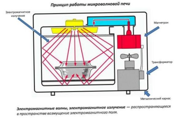 Jak działa kuchenka mikrofalowa