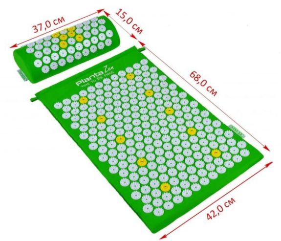 Zestaw do masażu PLANTA ZEN PZ-SET1 , zielony