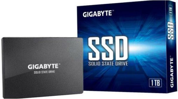 GIGABYTE 1000 GB GP-GSTFS31100TNTD