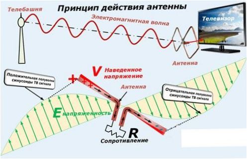 Zasada działania anteny telewizyjnej